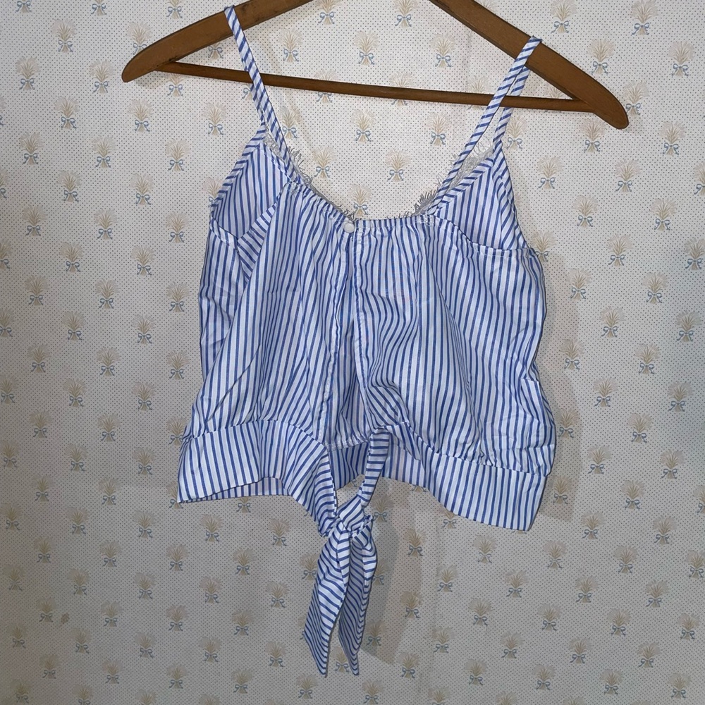 Blue and White Striped Lace Accent Crop Top - Picture 2 of 5